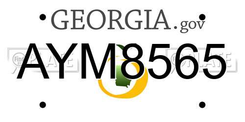AYM8565 Georgia License Plate