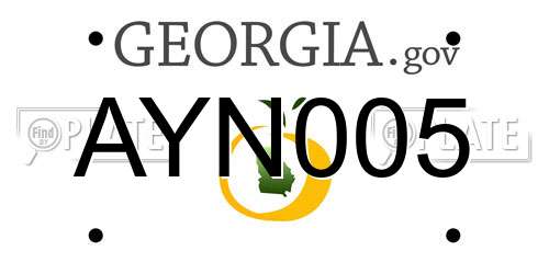 AYN005 Georgia License Plate