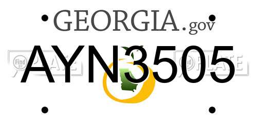 AYN3505 Georgia License Plate