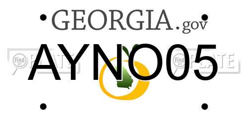 AYNO05 Georgia License Plate