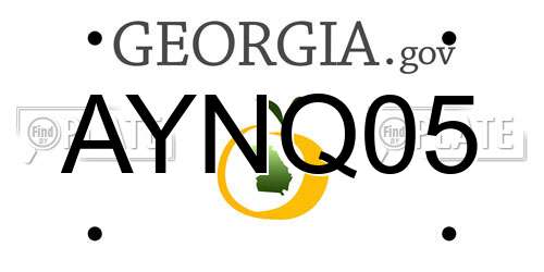 AYNQ05 Georgia License Plate