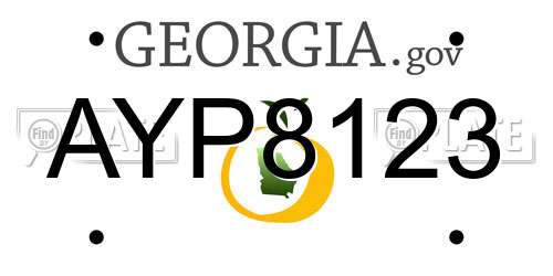 AYP8123 Georgia License Plate