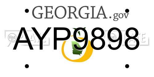 AYP9898 Georgia License Plate