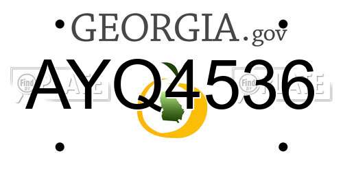 AYQ4536 Georgia License Plate