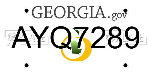 AYQ7289 Georgia License Plate