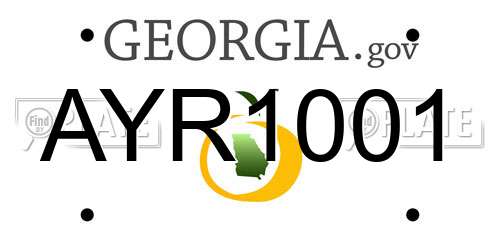 AYR1001 Georgia License Plate