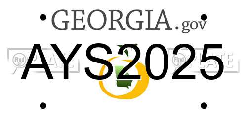 AYS2025 Georgia License Plate