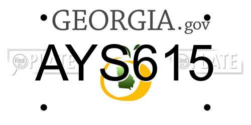 AYS615 Georgia License Plate