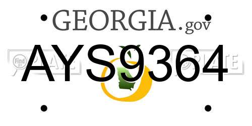 AYS9364 Georgia License Plate