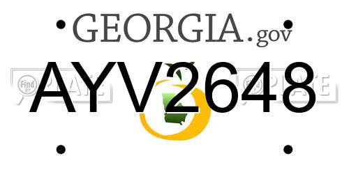 AYV2648 Georgia License Plate