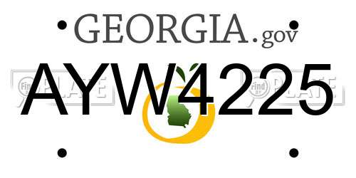 AYW4225 Georgia License Plate