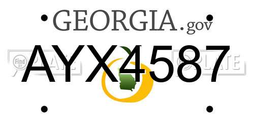 AYX4587 Georgia License Plate