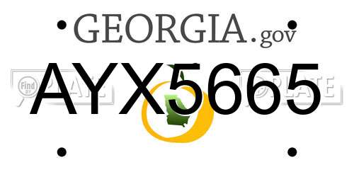 AYX5665 Georgia License Plate