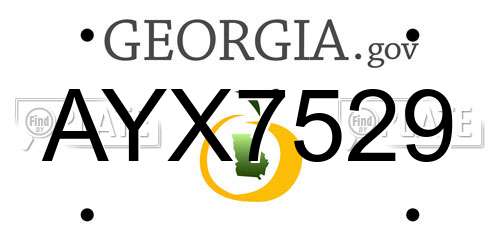 AYX7529 Georgia License Plate