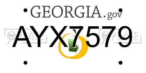 AYX7579 Georgia License Plate