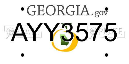 AYY3575 Georgia License Plate