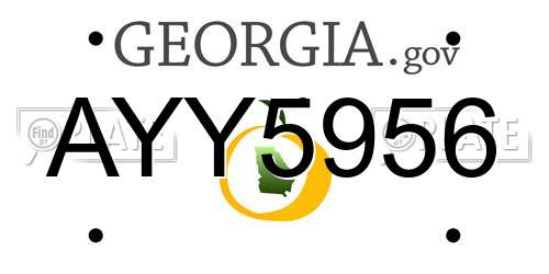 AYY5956 Georgia License Plate