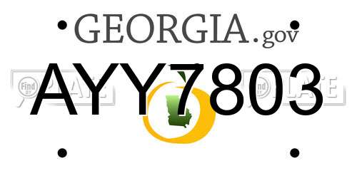 AYY7803 Georgia License Plate