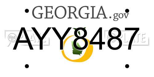 AYY8487 Georgia License Plate