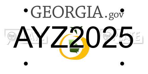 AYZ2025 Georgia License Plate