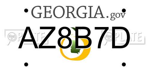 AZ8B7D Georgia License Plate