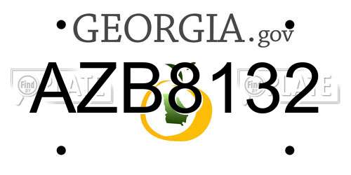 AZB8132 Georgia License Plate