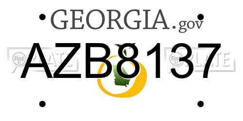 AZB8137 Georgia License Plate
