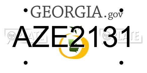 AZE2131 Georgia License Plate
