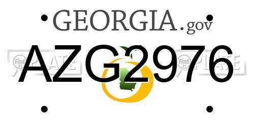 AZG2976 Georgia License Plate