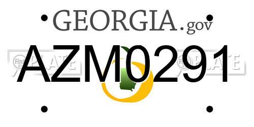 AZM0291 Georgia License Plate