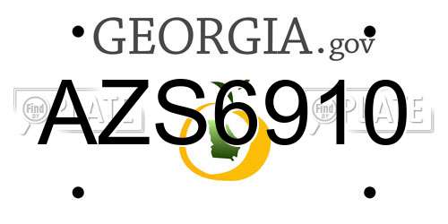 AZS6910 Georgia License Plate