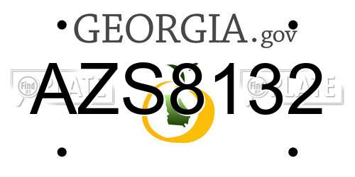 AZS8132 Georgia License Plate