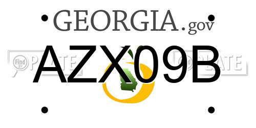 AZX09B Georgia License Plate