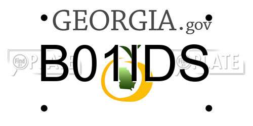 B01IDS Georgia License Plate
