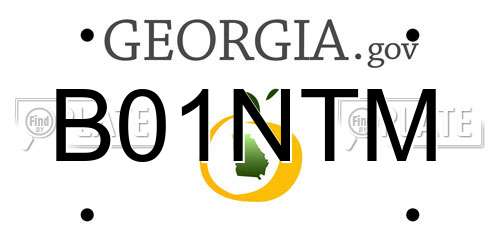 B01NTM Georgia License Plate