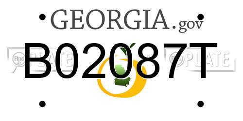 B02087T Georgia License Plate