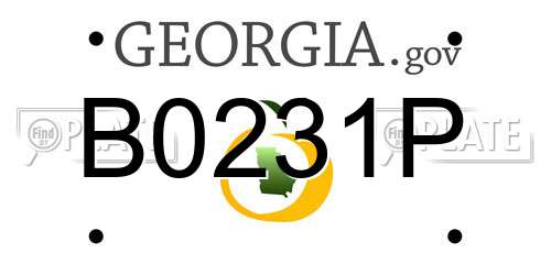 B0231P Georgia License Plate