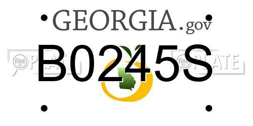 B0245S Georgia License Plate