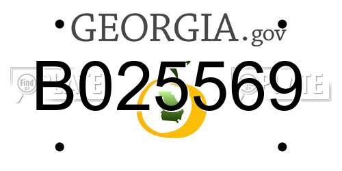 B025569 Georgia License Plate