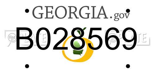 B028569 Georgia License Plate