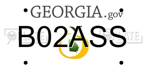 B02ASS Georgia License Plate
