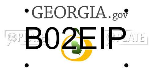 B02EIP Georgia License Plate