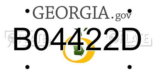 B04422D Georgia License Plate