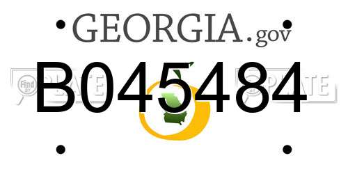 B045484 Georgia License Plate