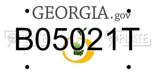 B05021T Georgia License Plate