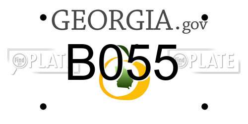 B055 Georgia License Plate