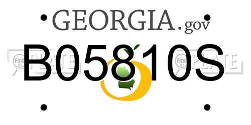 B05810S Georgia License Plate