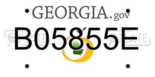 B05855E Georgia License Plate