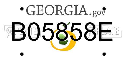 B05858E Georgia License Plate
