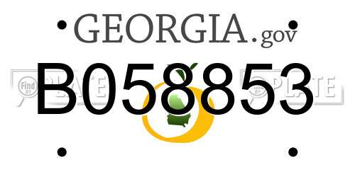 B058853 Georgia License Plate